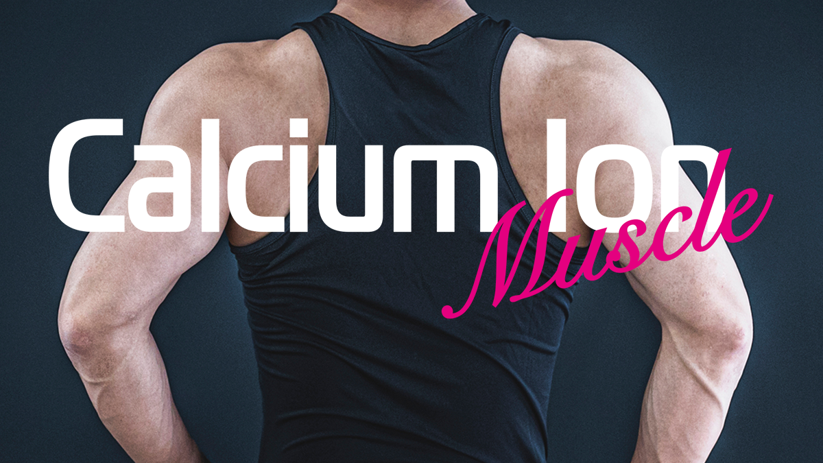 タイトル「Calsiumu Ion マッスル(筋肉)」の背後に、若い男性の筋肉が際立つ背中を見せているシーンの画像
