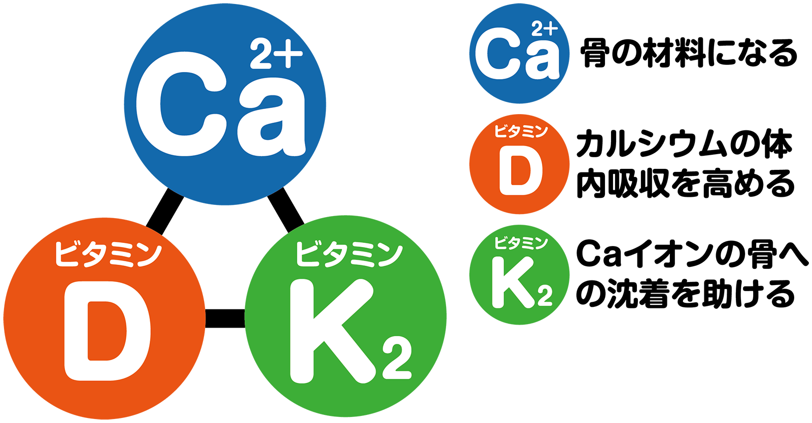 カルシウムの3大栄養素──Ca、ビタミンD、ビタミンK2