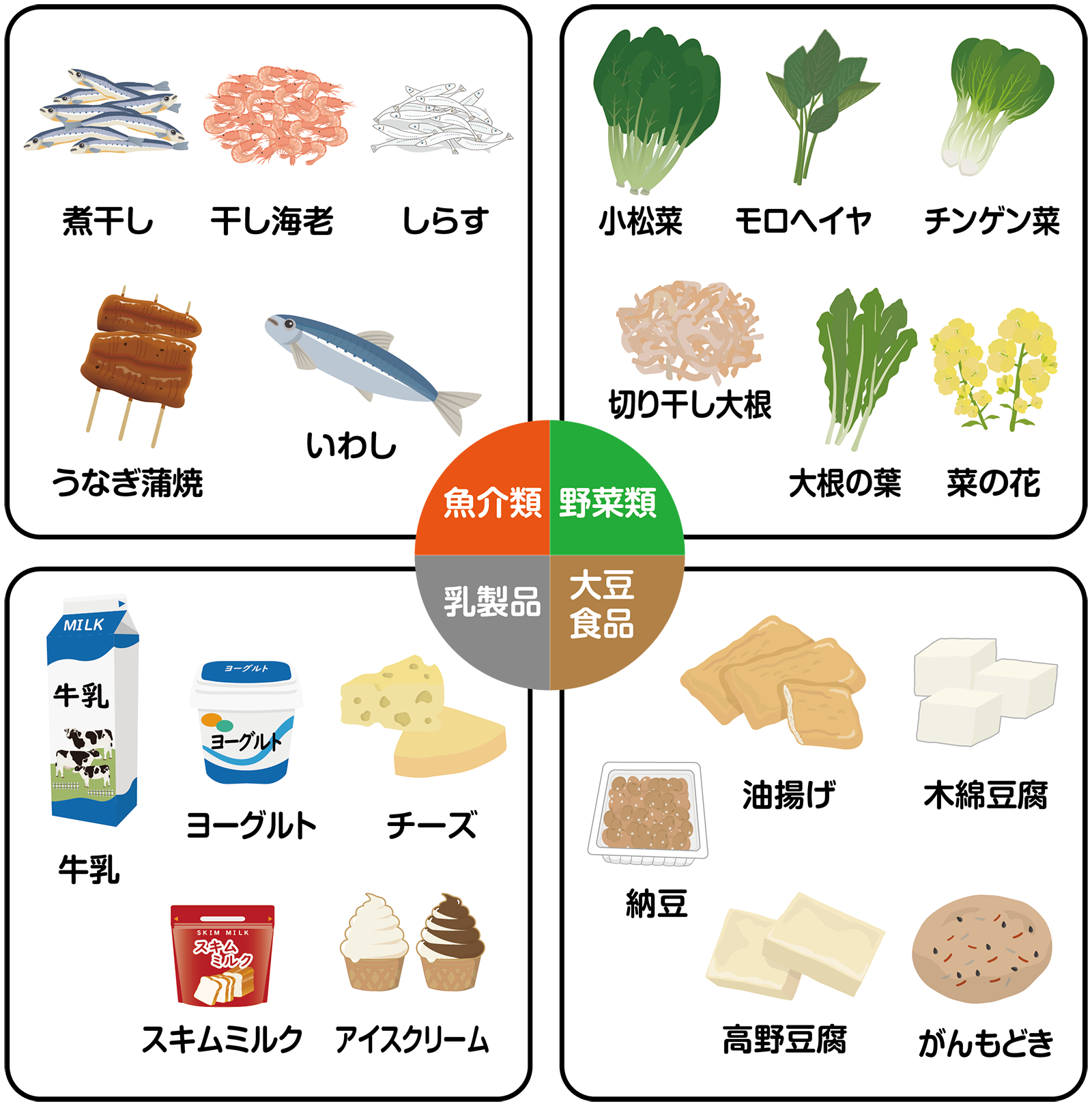 カルシウムを多く含む4つの食品群──魚類、野菜類、乳製品、大豆食品