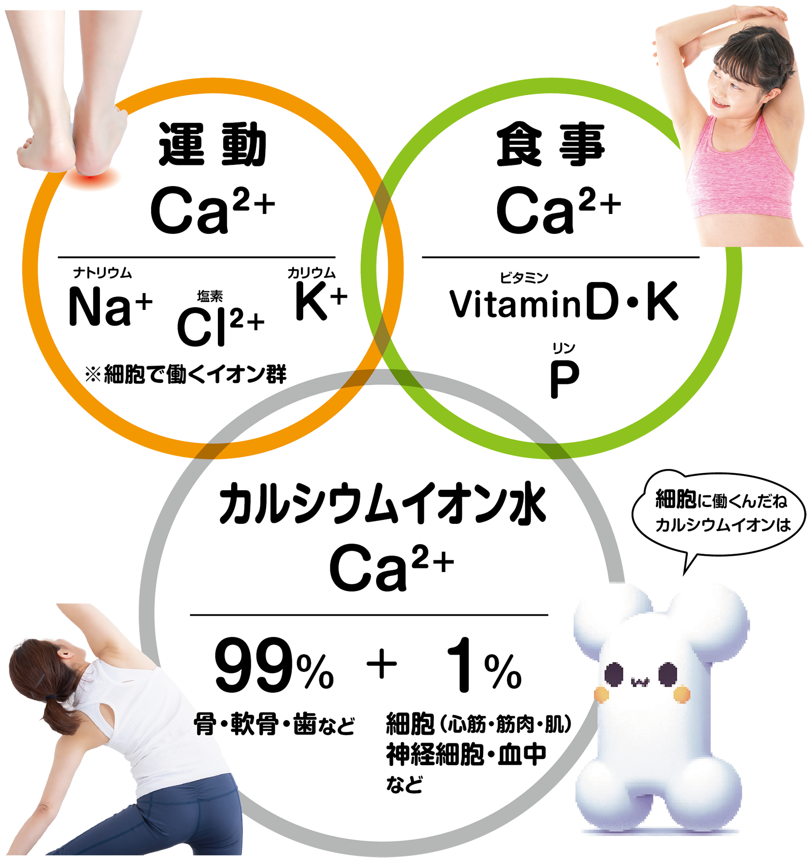 運動と食事とカルシウムイオン水のバランスよい生活習慣