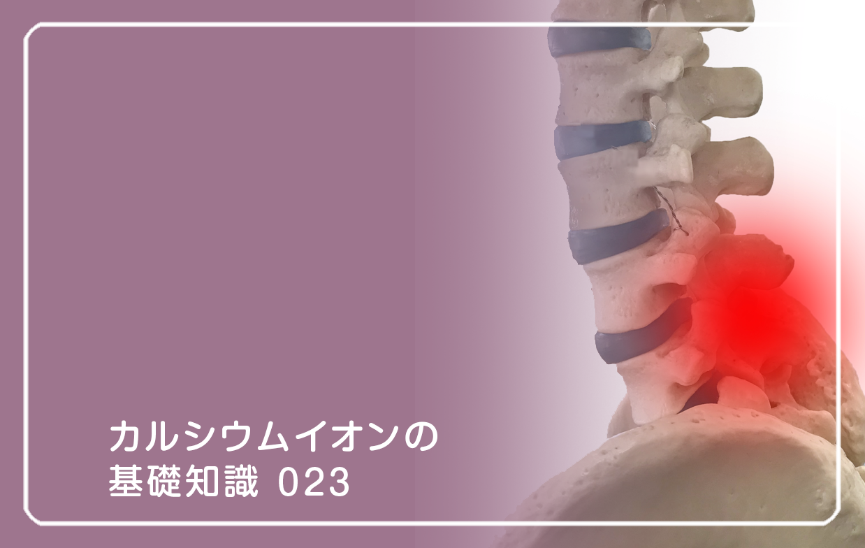 新シリーズ「カルシウムイオンの基礎知識」の第15話タイトル「痛・肩こりと筋肉イオン」のテーマ画像