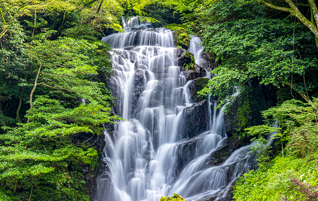 いく筋にも流れる水流の画像