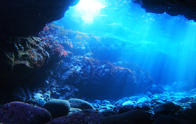 深い海の底から見上げた海面から青い太陽光線が注がれる様子の水中画像