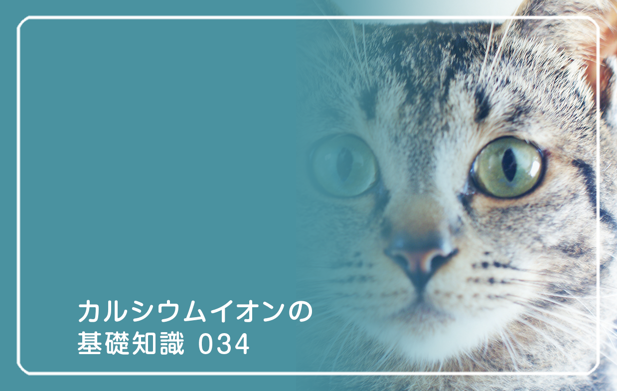 「カルシウムイオンの基礎知識」の第34話タイトル「ボールスピードと反応速度」のテーマ画像