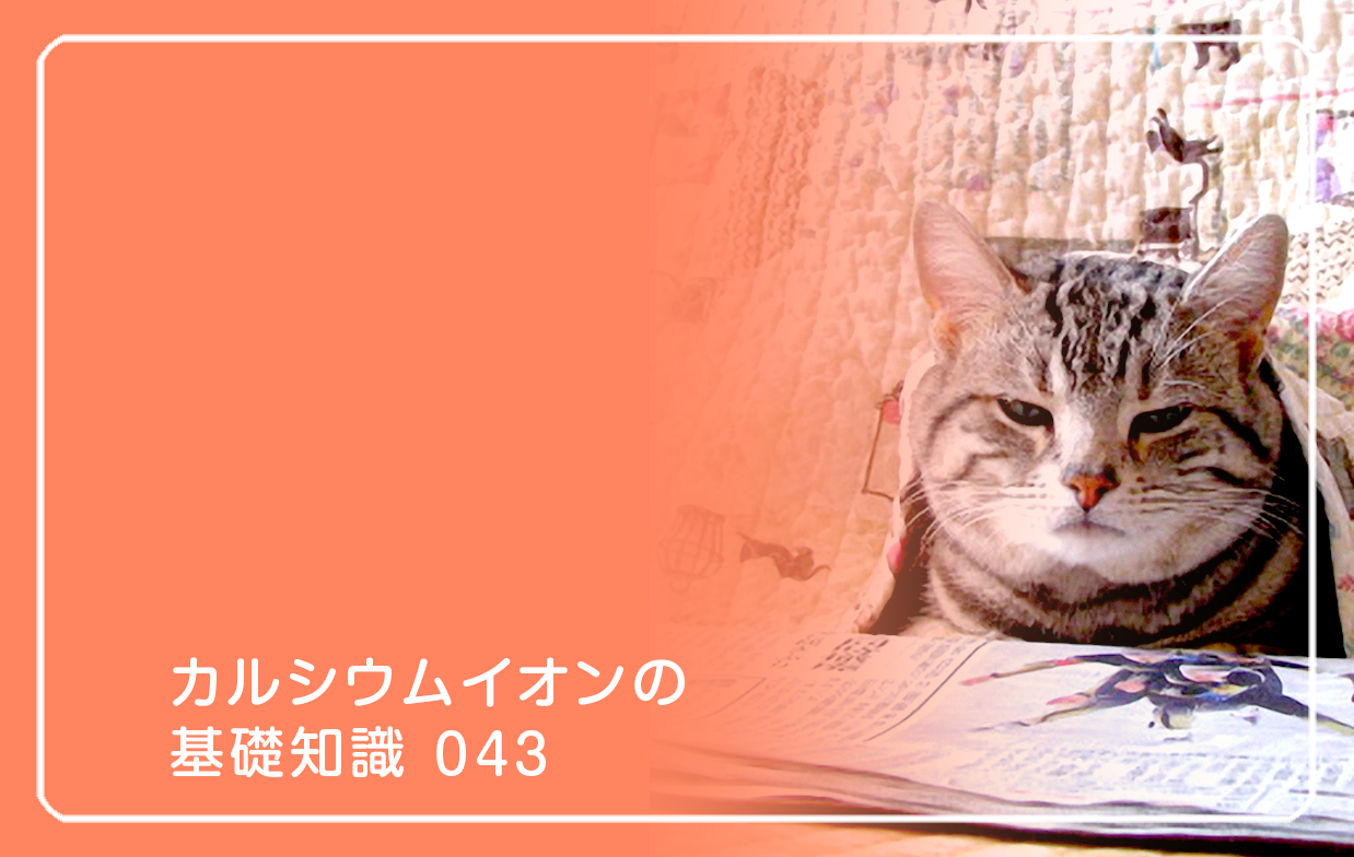 「カルシウムイオンの基礎知識」の第43話タイトル「むくみと冷え改善」のテーマ画像