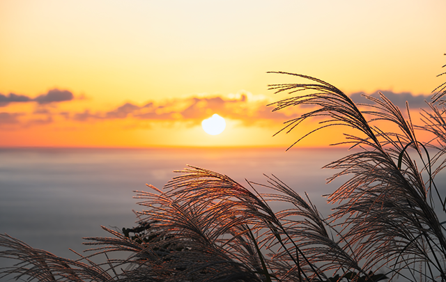 半島から夕日を望む画像