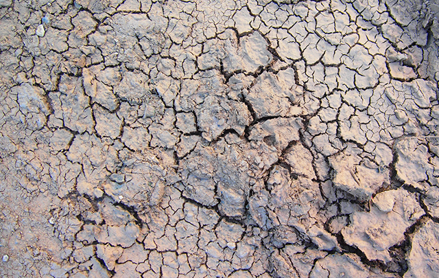 仮装してひび割れた大地の画像
