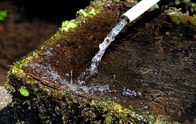 手水場のホースからいきおいよく水流が吹き出す画像