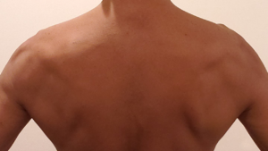 鍛えられた男性の背中のイメージ