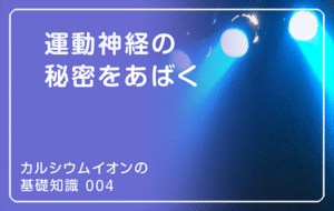 新シリーズ「カルシウムイオンの基礎知識」の第3話タイトル「運動神経の秘密をあばく」のアイキャッチ画像