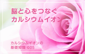 新シリーズ「カルシウムイオンの基礎知識」の第5話タイトル「脳と心をつなぐカルシウムイオン」のアイキャッチ画像