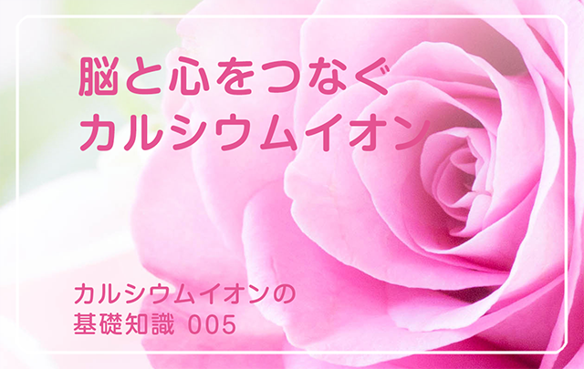 新シリーズ「カルシウムイオンの基礎知識」の第5話タイトル「脳と心をつなぐカルシウムイオン」のアイキャッチ画像