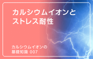 新シリーズ「カルシウムイオンの基礎知識」の第7話タイトル「カルシウムイオンとストレス耐性」のアイキャッチ画像