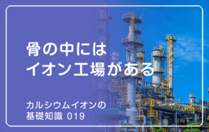 新シリーズ「カルシウムイオンの基礎知識」の第15話タイトル「骨の中には「工場」がある」のアイキャッチ画像