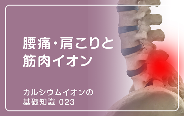 新シリーズ「カルシウムイオンの基礎知識」の第15話タイトル「痛・肩こりと筋肉イオン」のアイキャッチ画像