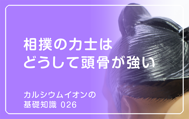 新シリーズ「カルシウムイオンの基礎知識」の第15話タイトル「相撲の力士はどうして頭骨が強い」のアイキャッチ画像