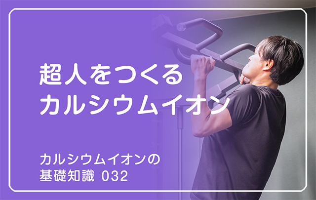 032|超人をつくるカルシウムイオン