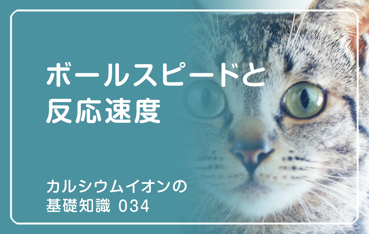 034|ボールスピードと反応速度