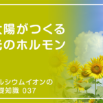「カルシウムイオンの基礎知識」の第37話タイトル「太陽がつくる光のホルモン」のアイキャッチ画像