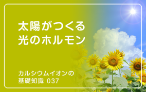 「カルシウムイオンの基礎知識」の第37話タイトル「太陽がつくる光のホルモン」のアイキャッチ画像