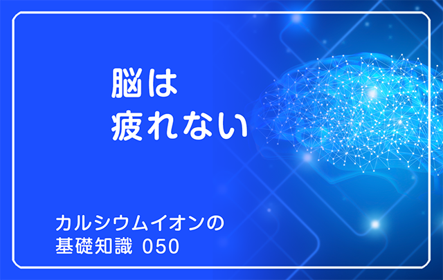 050｜脳は疲れない!!