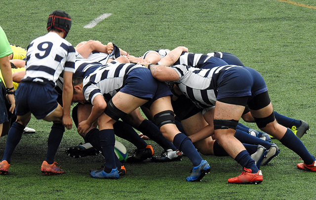 チームが一丸となってスクラムからモールで力で押し合うラブビー選手たちの画像