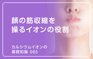 「カルシウムイオンの基礎知識」の第65話タイトル「顔の筋収縮を操るイオンの役割」のアイキャッチ画像
