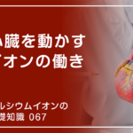 「カルシウムイオンの基礎知識」の第67話タイトル「心臓を動かすイオンの働き」のアイキャッチ画像