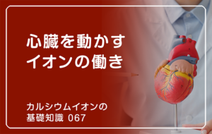 「カルシウムイオンの基礎知識」の第67話タイトル「心臓を動かすイオンの働き」のアイキャッチ画像