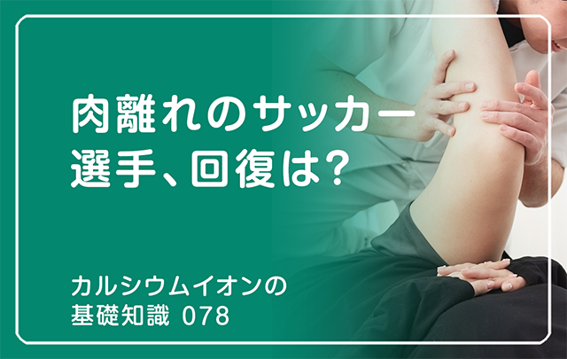 「カルシウムイオンの基礎知識」の第78話タイトル「肉離れのサッカー選手、回復は？」のaアイキャッチ画像
