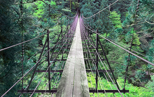 峡谷にかかる細い吊り橋の画像