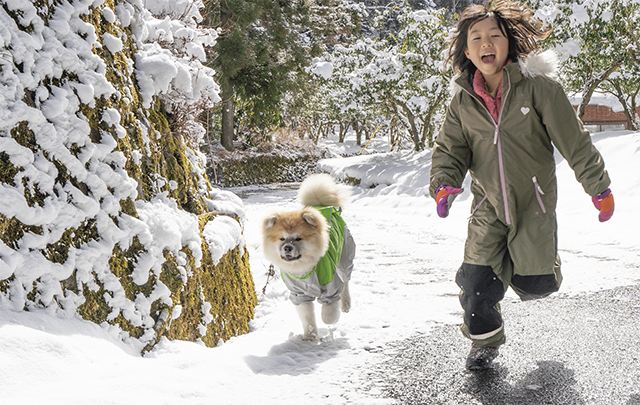 大雪にもかかわらず犬と少女が庭を走って散歩中の画像