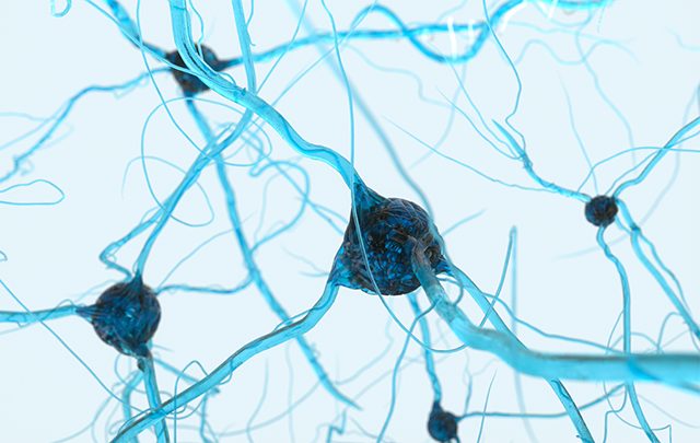 いくつかのシナプスが細い繊維でつながって情報伝達伝えるイメージ画像