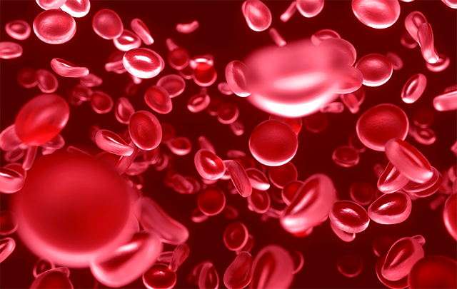 大量のヘモグロビン(赤血球)が流れているイメージ画像