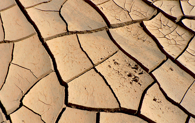 乾燥でひび割れた大地の画像