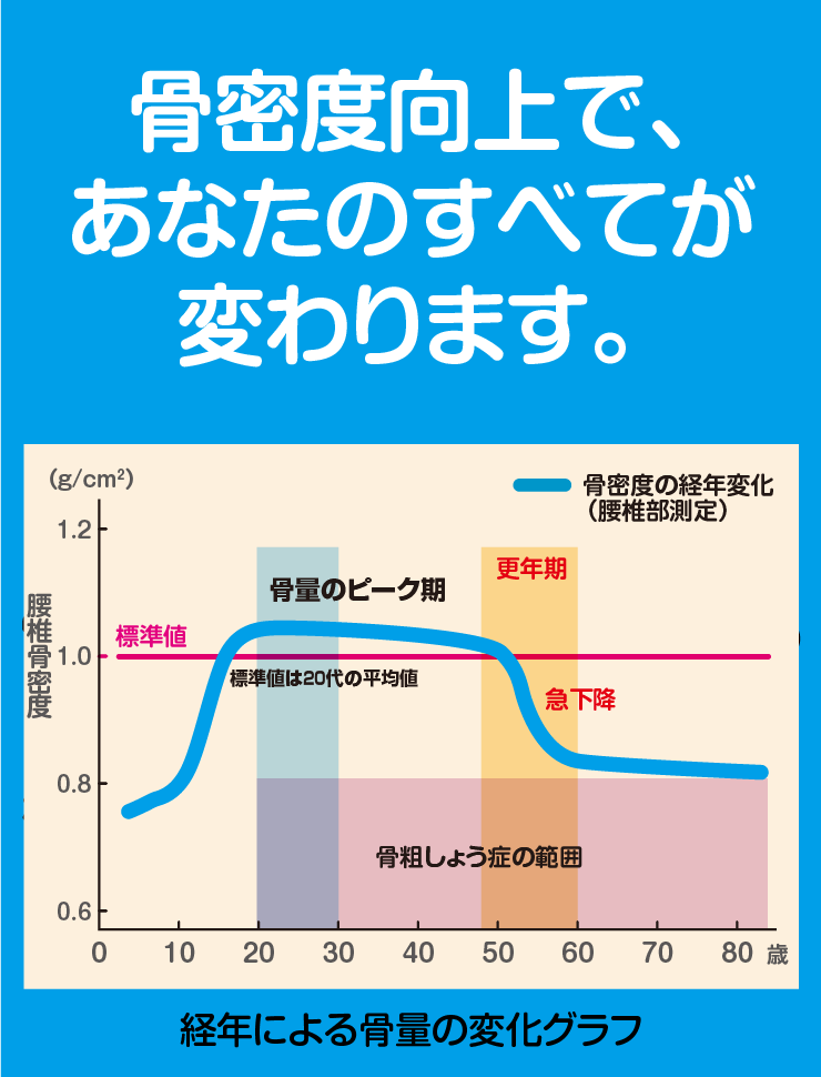 骨量の世代ごとの変化グラフの画像