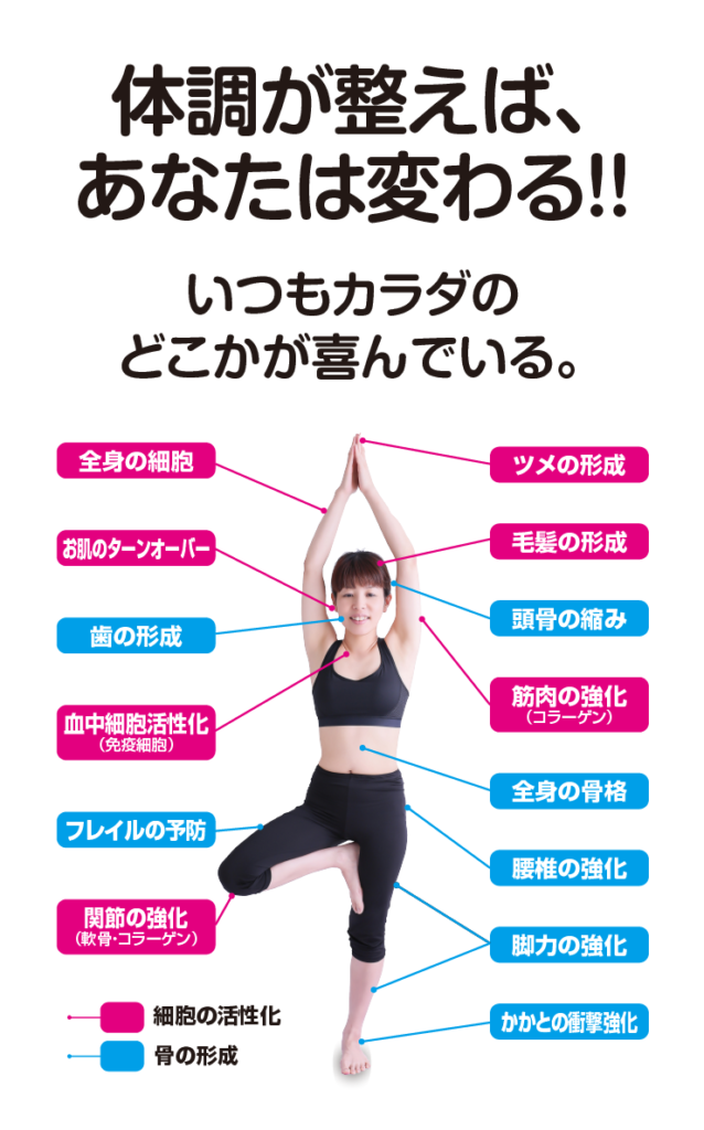 お客様の声を集めたカルシウム本来の作用分野の説明図