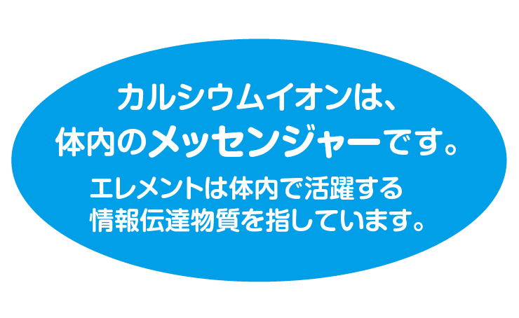 カルシウムイオンの知見の紹介