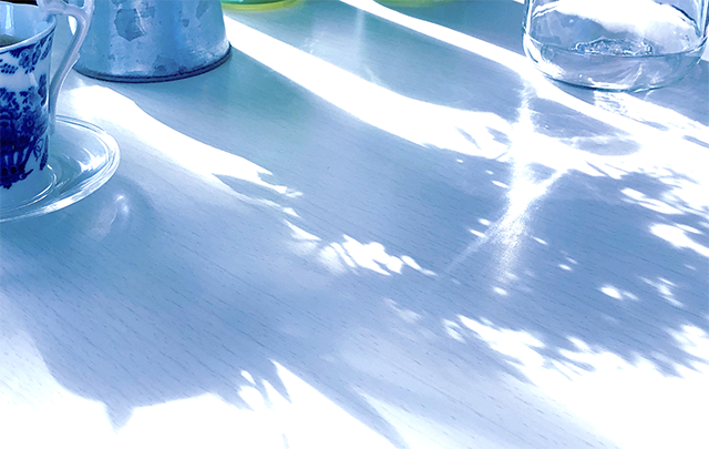 冬の朝の光を浴びる窓辺の花瓶の画像