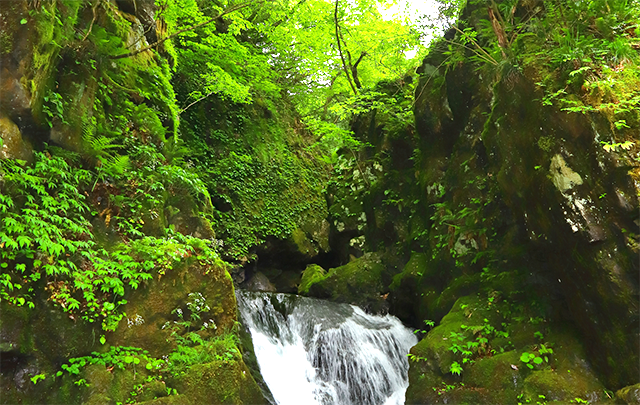 自然環境の中でイオン化が起きている画像